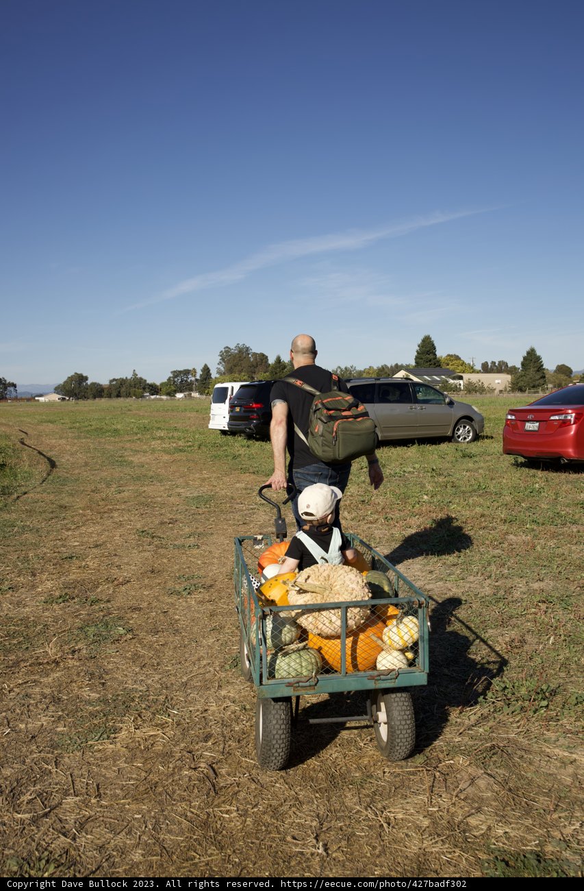 Harvest Day Joy Ride with The Metzgars