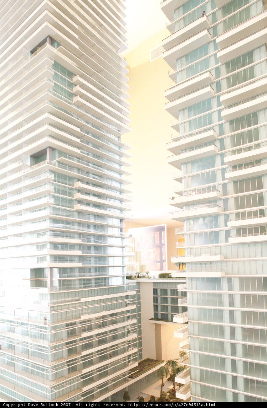 High Rise Condo Building in the Urban Jungle