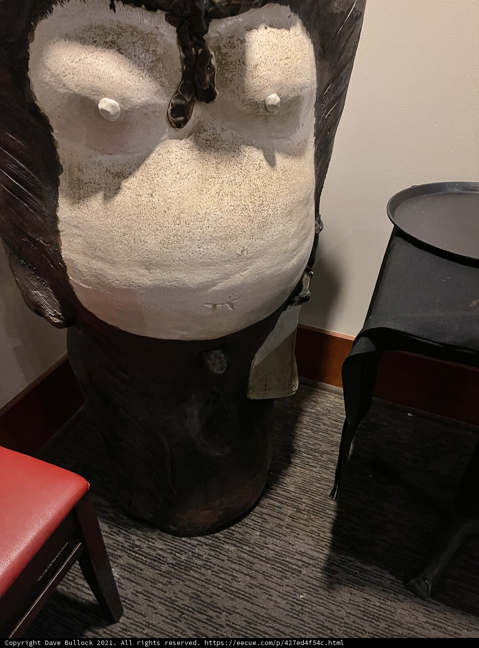 The Primate's Perch