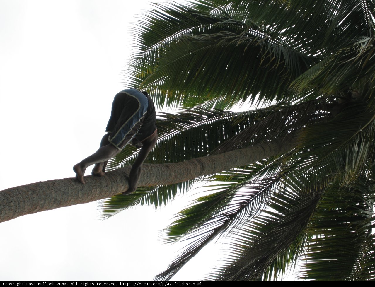 Scaling New Heights