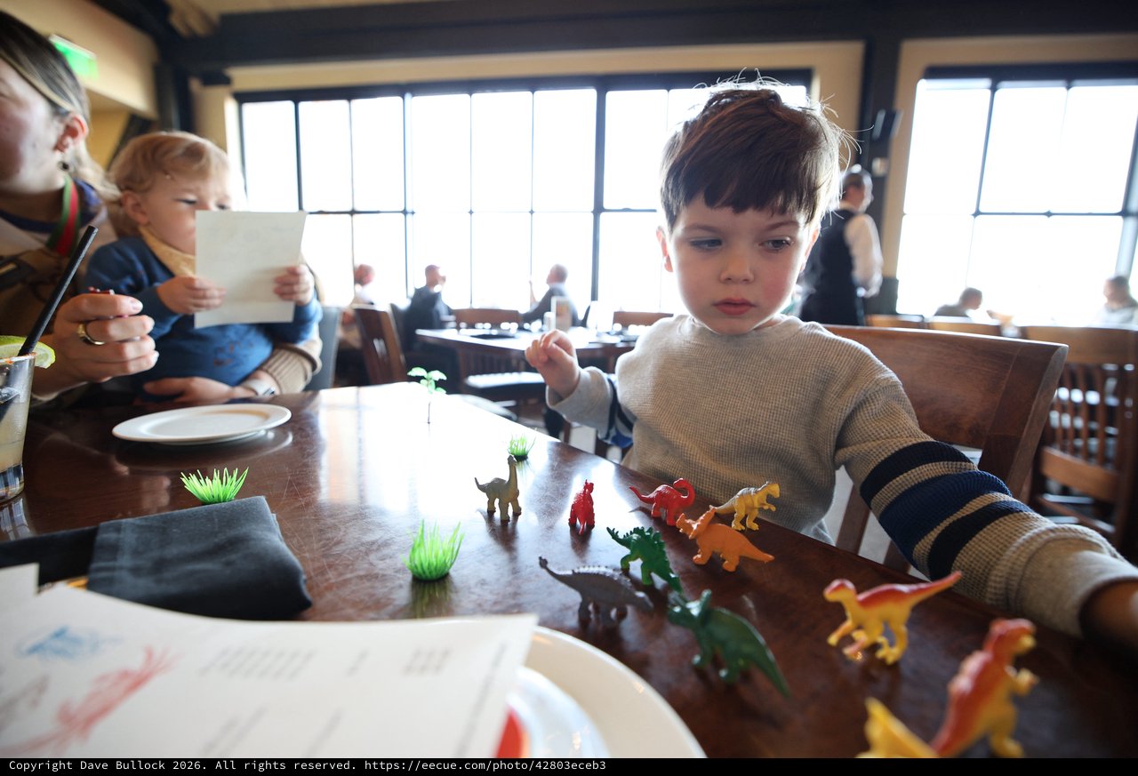 Young Boy Playing with Dinosaur Toys at Restaurant