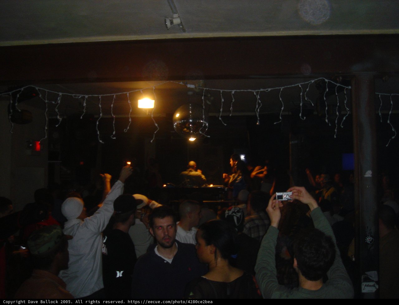 Nightclub Fun with the DJ