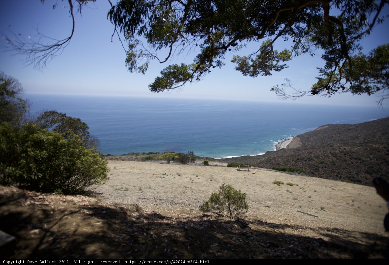 Serene Promontory Overlooking the Ocean