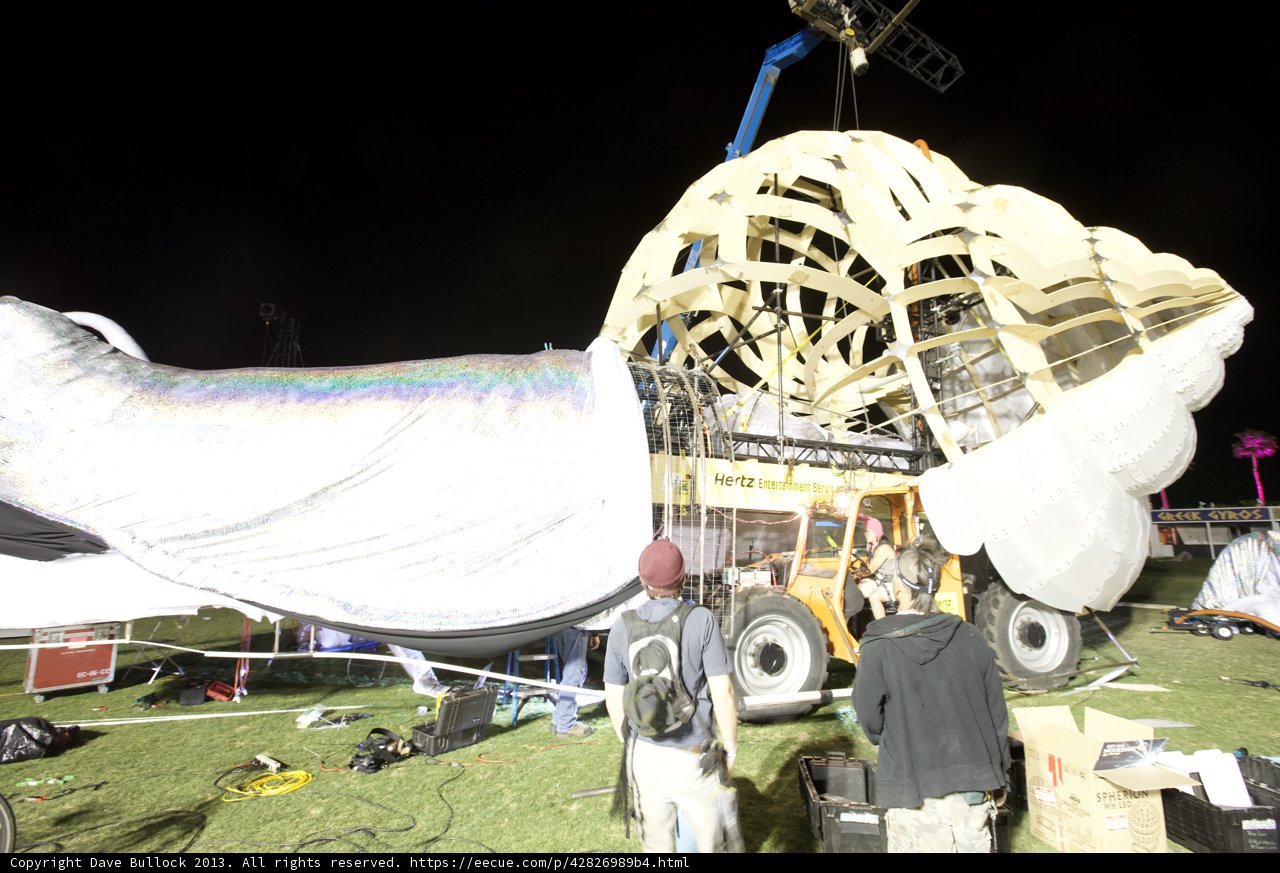 Crane Shell at Coachella