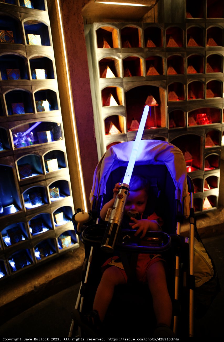 The Tiny Jedi Master at Disneyland