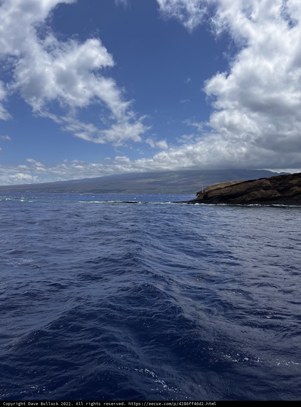 The Majestic View of the Hawaiian Coast