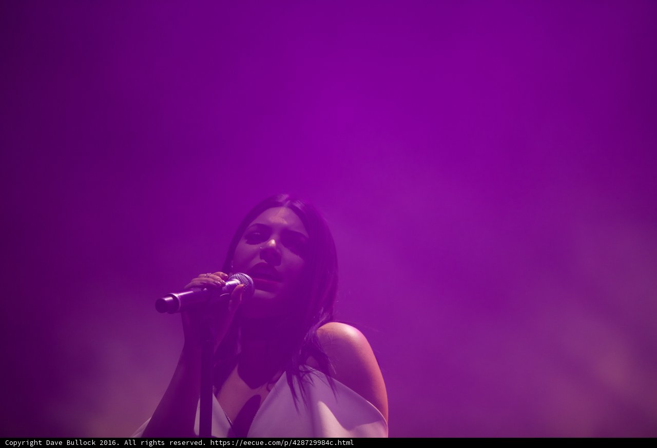 Purple Reign