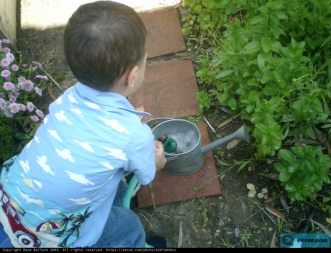 Herbs in the Hands of Young Gardener