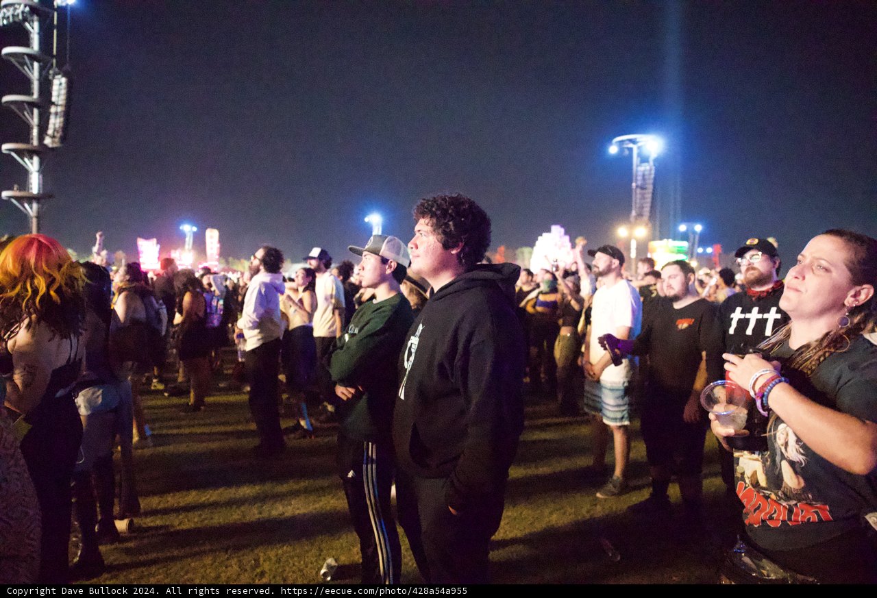 Captivated by the Coachella Night