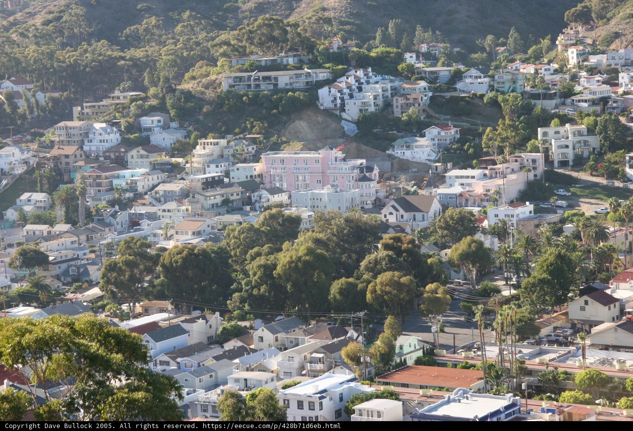 Bird's Eye View of A Suburban Metropolis
