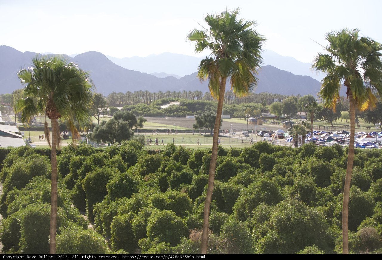 Palm Trees and Mountain Scenery