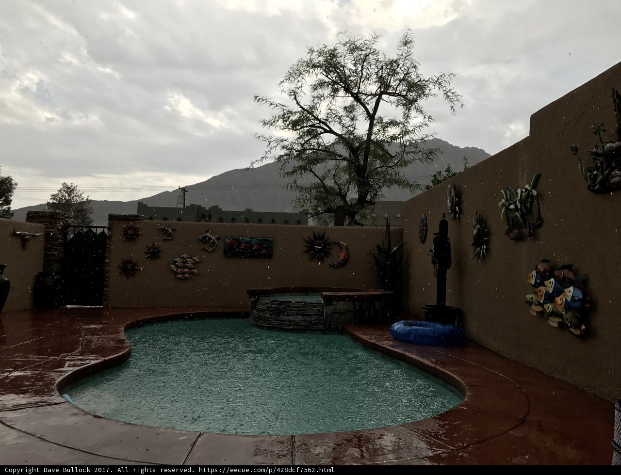 The Serene Poolside Retreat