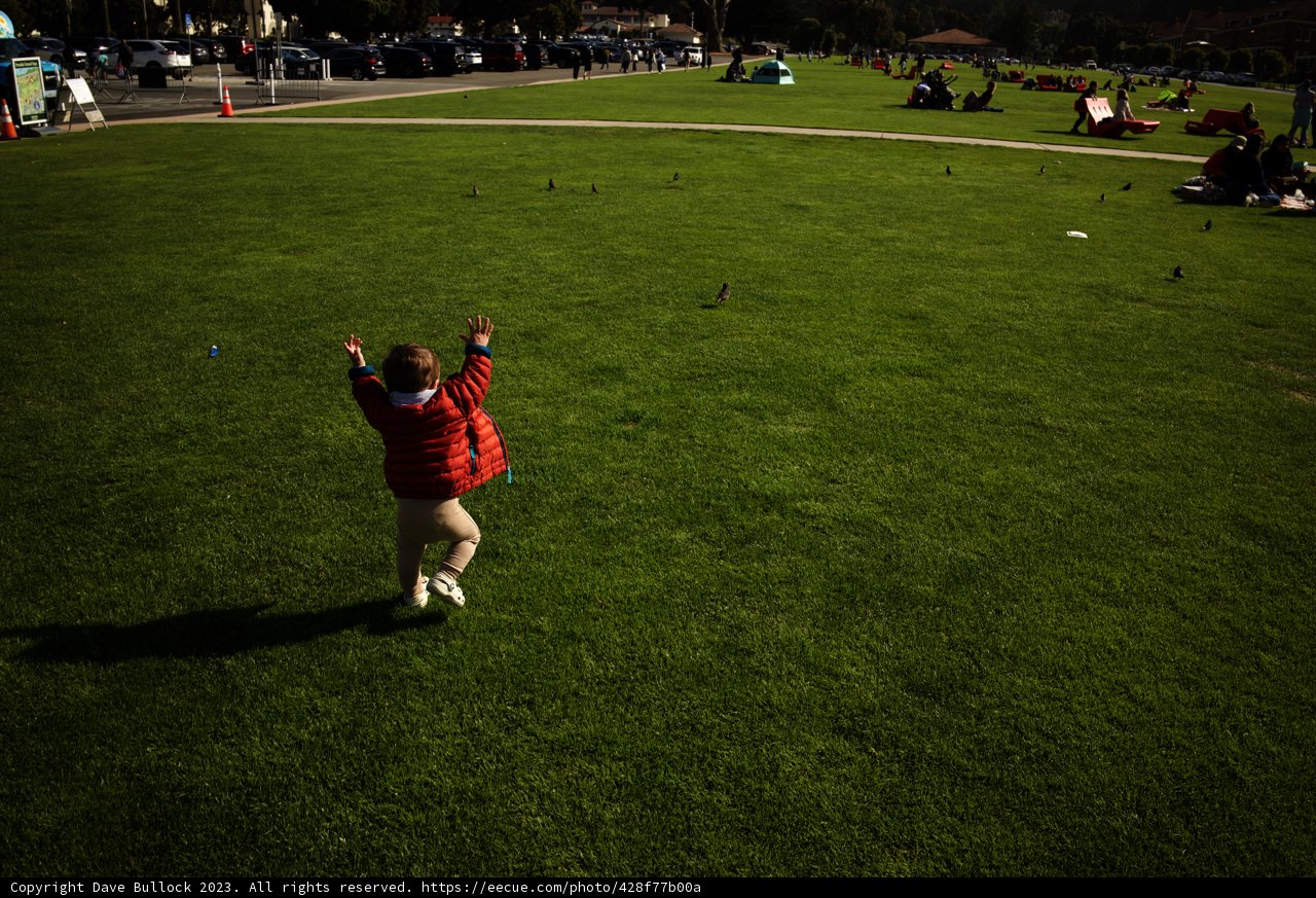 Soaring Dreams in Presidio Park