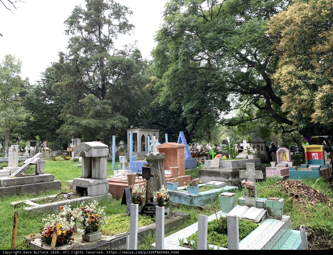 A Peaceful Resting Place