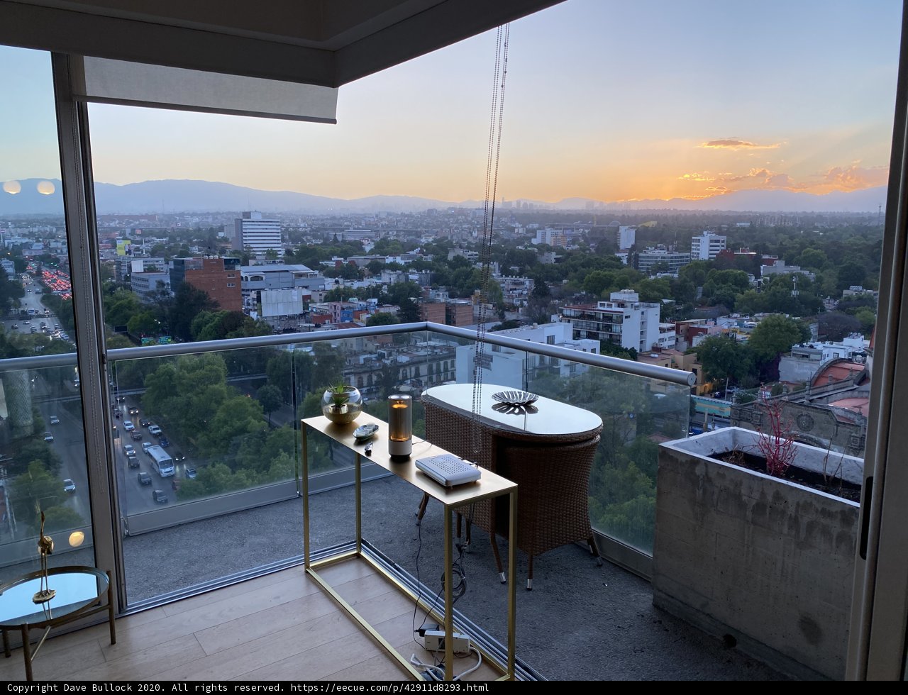 Urban Oasis at Sunset
