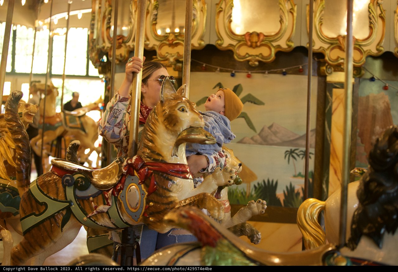 Joyride at San Francisco Zoo Carousel, November 2023