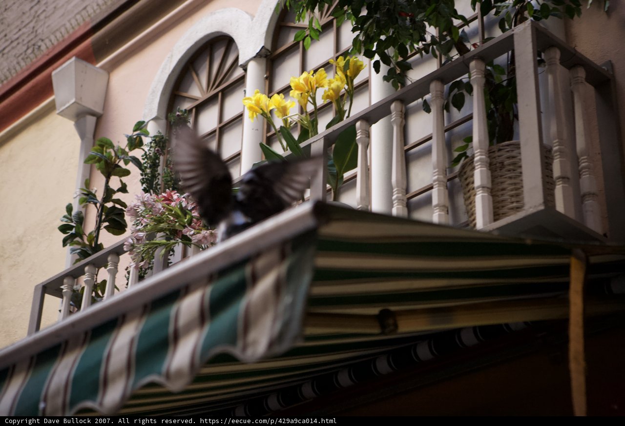 Flyover of Flower Balcony