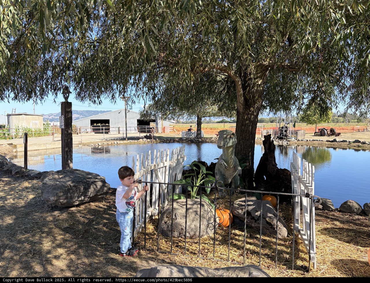 Autumn Afternoon by the Pond