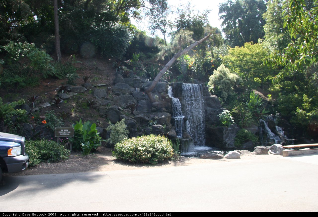 Cascading Beauty