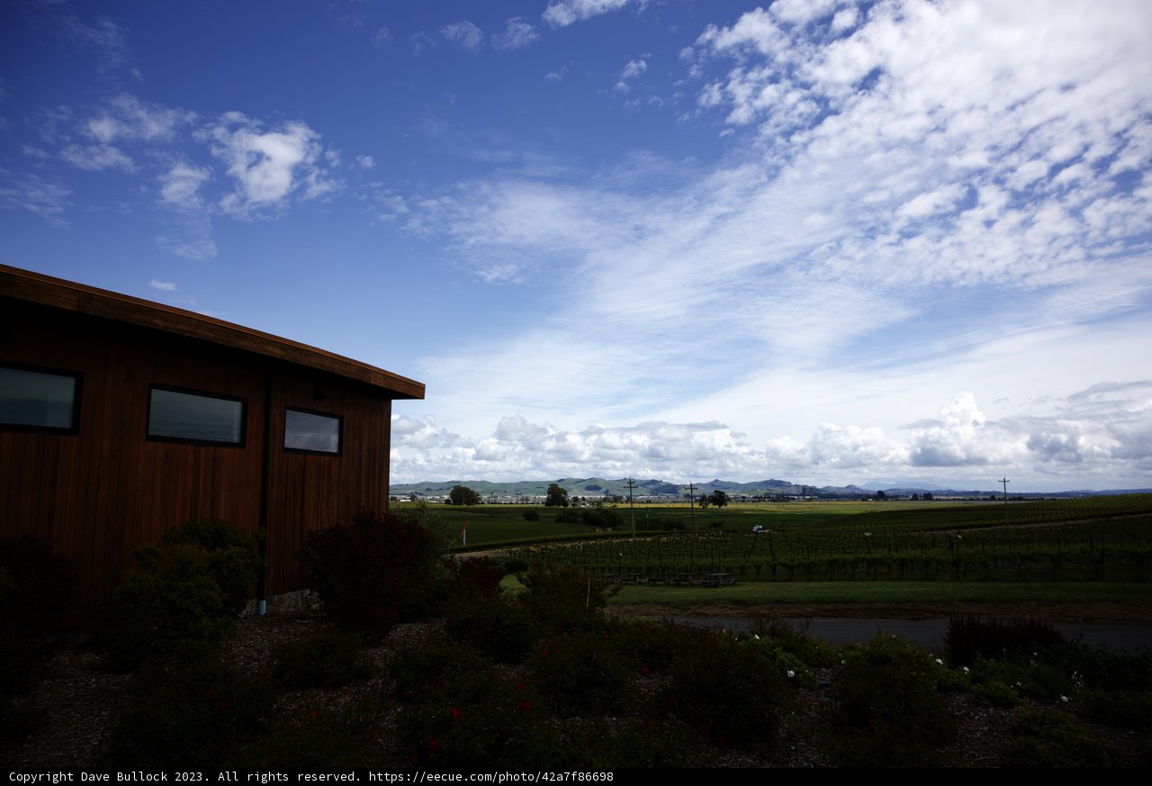 Serenity at Bouchaine Vineyards