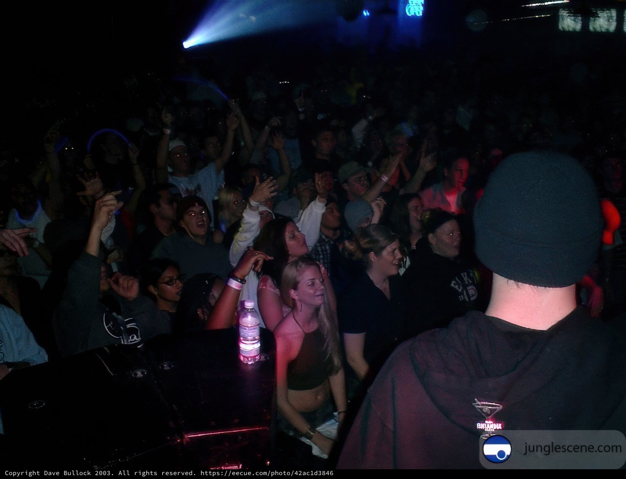 Nightclub Performance