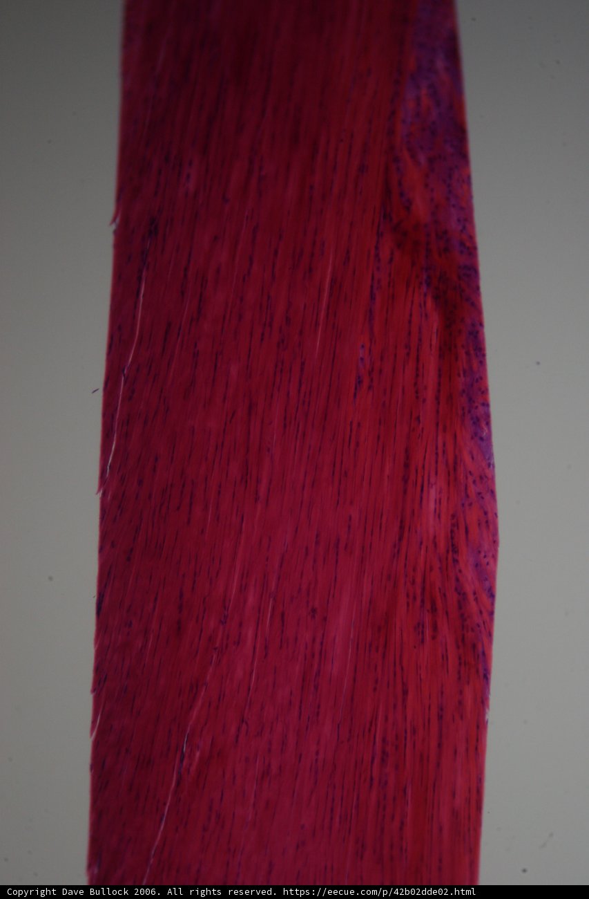 Velvet Tie on Red Textured Wood