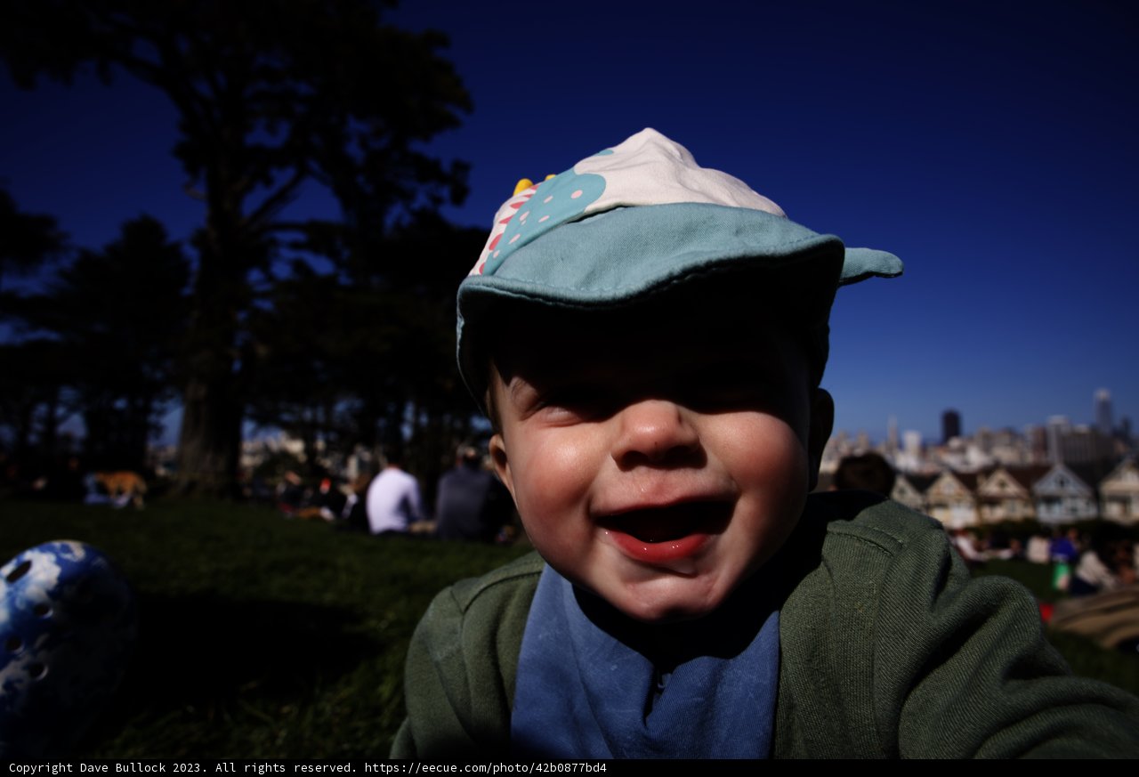 Sunny Day Smiles at Alamo Square