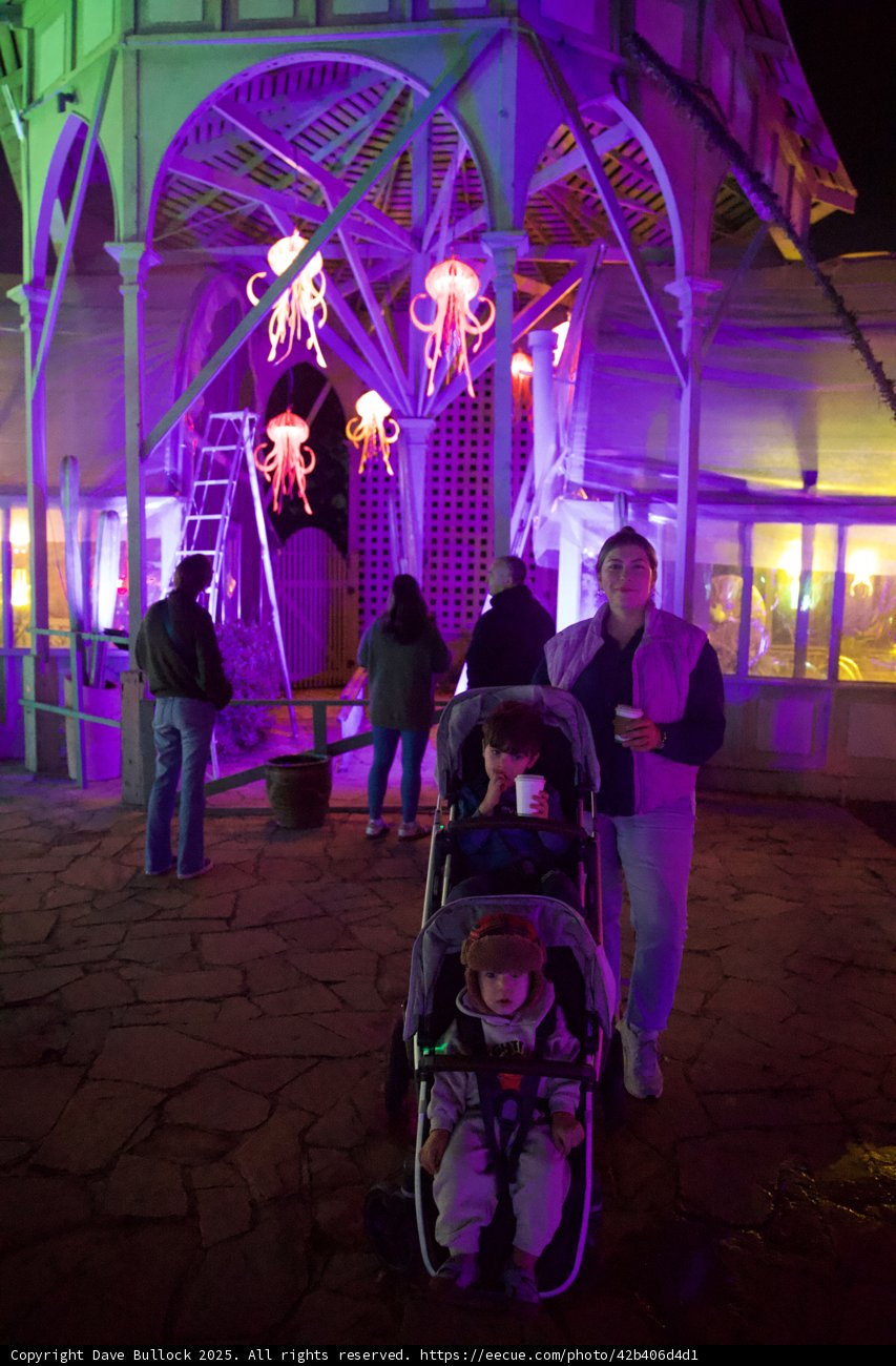 Enchanted Evenings at the Garden of D'Lights