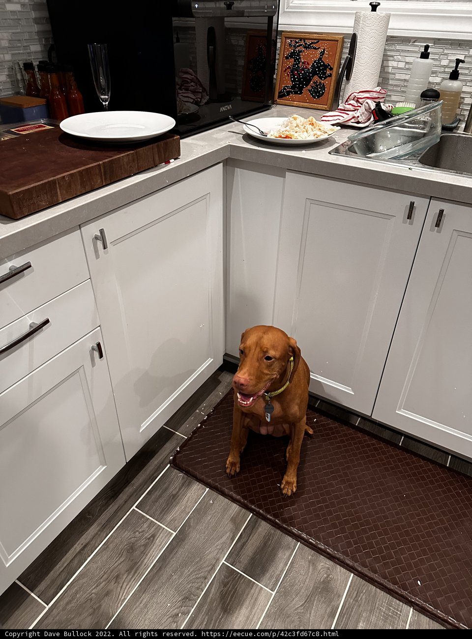 Kitchen Companion