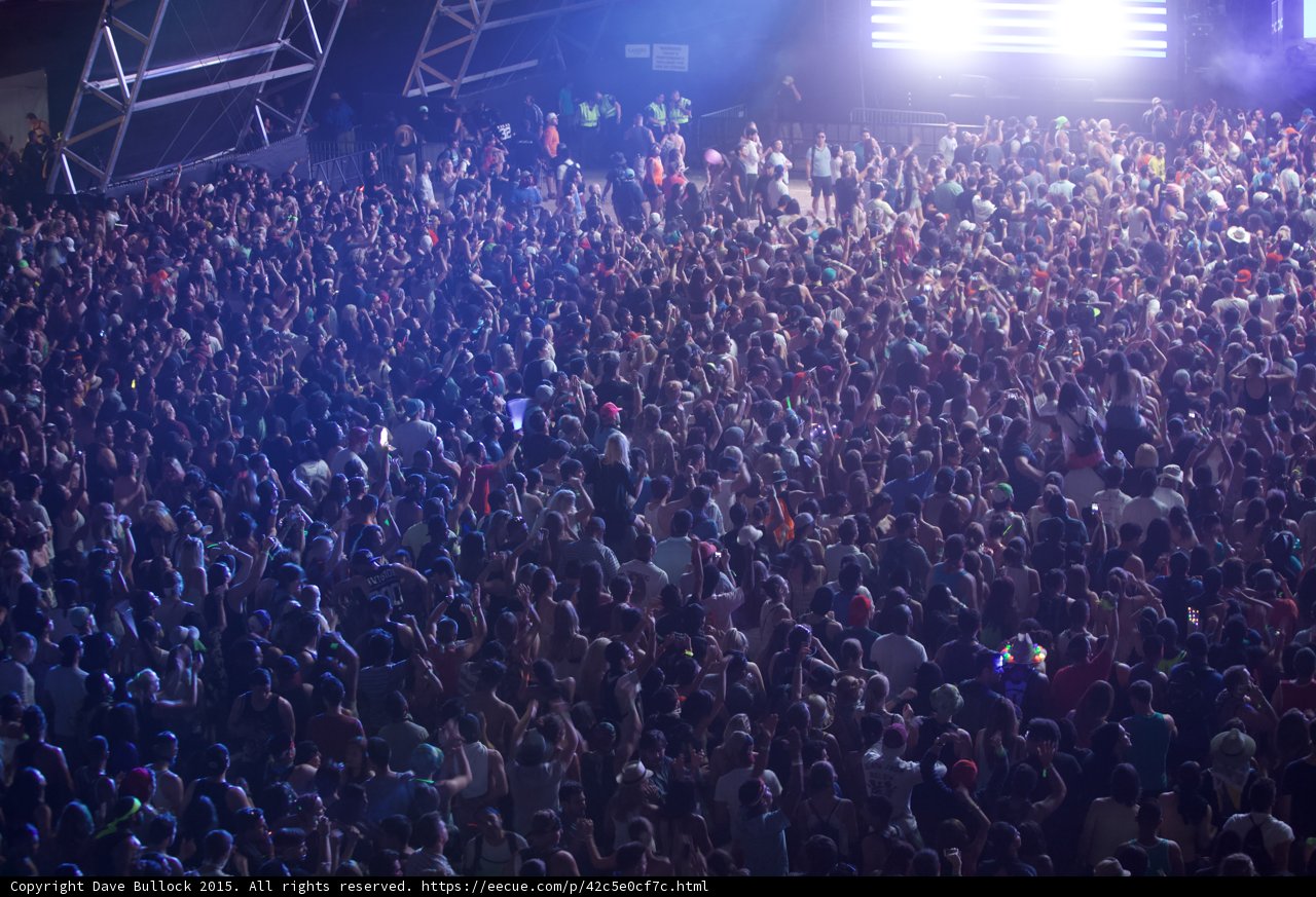 Lights and Life at Coachella
