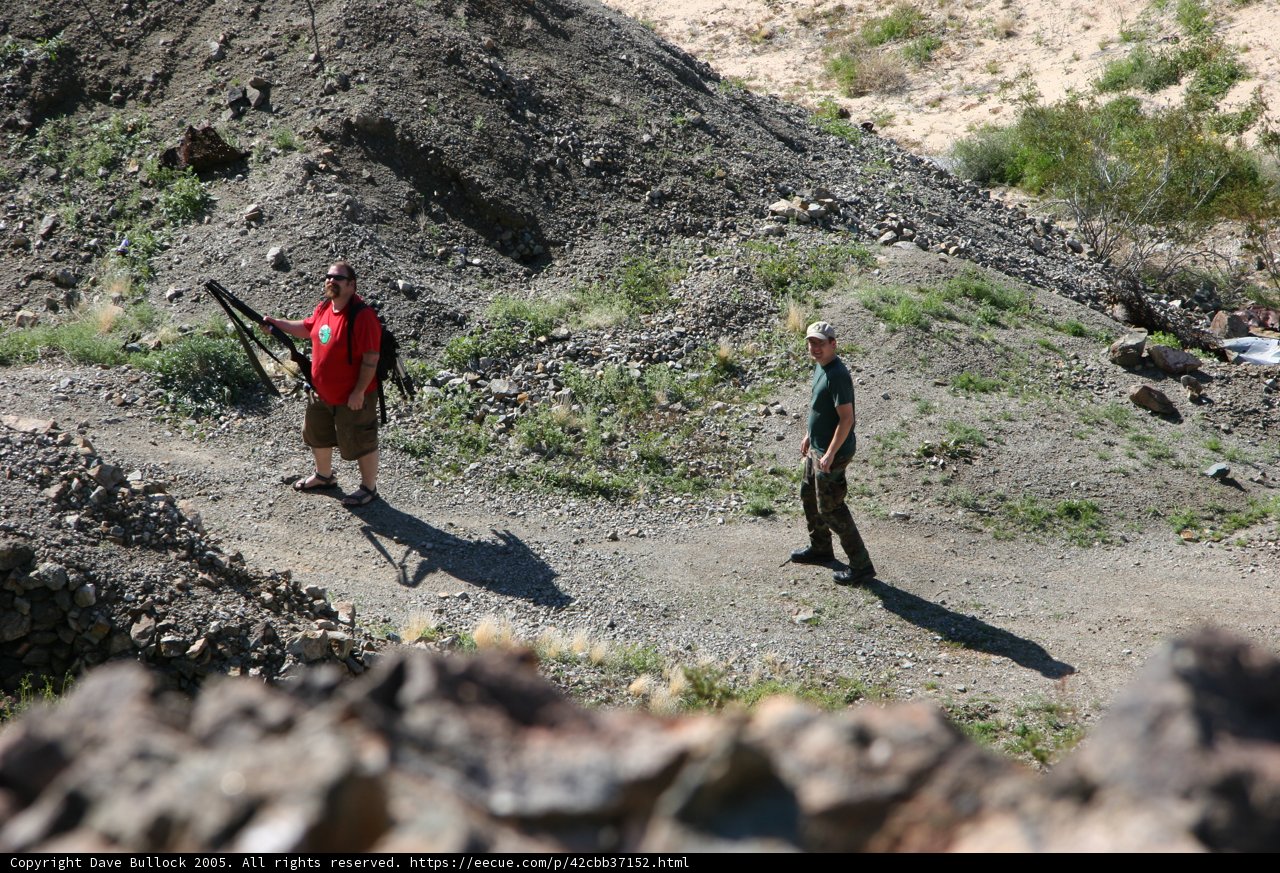 Journey through the Wild