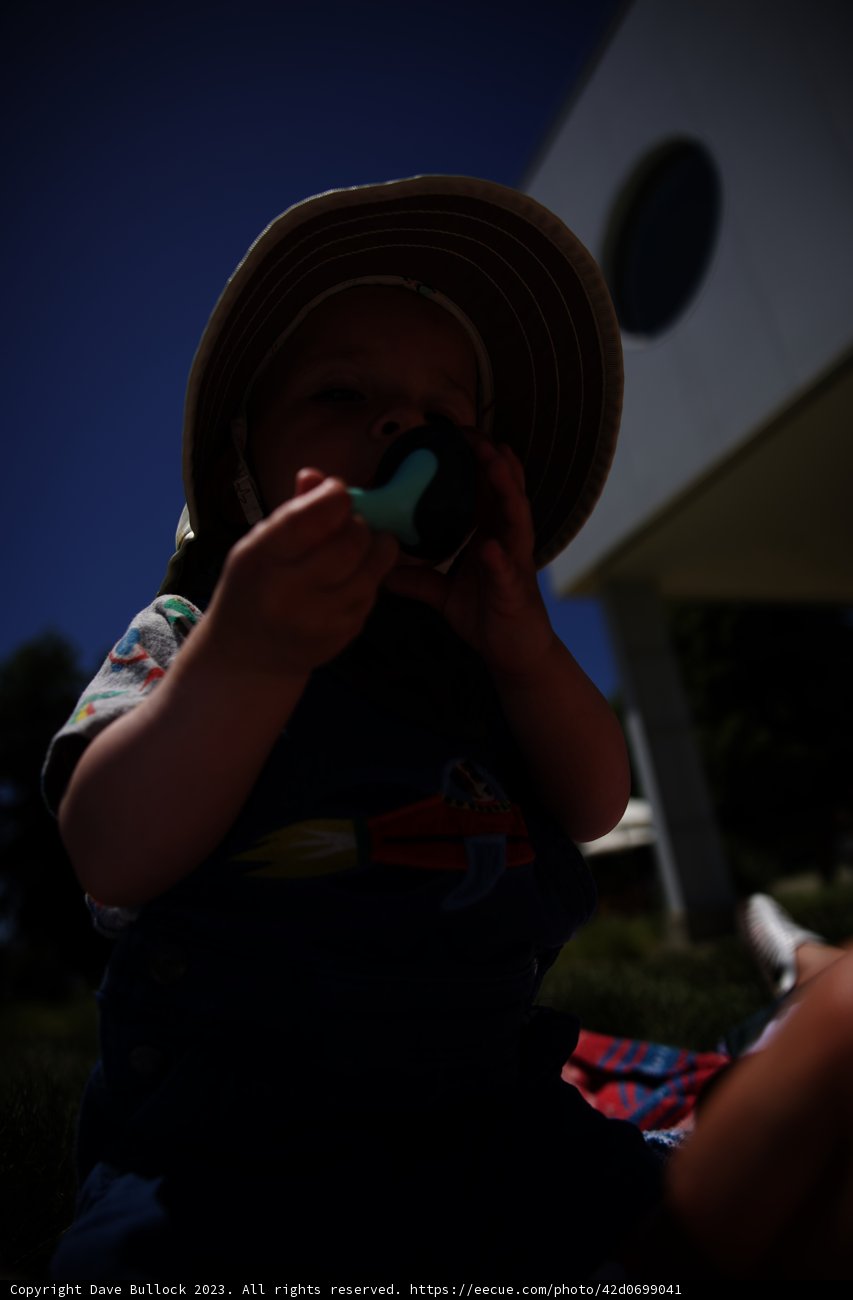 Little Explorer on a Sunny Day