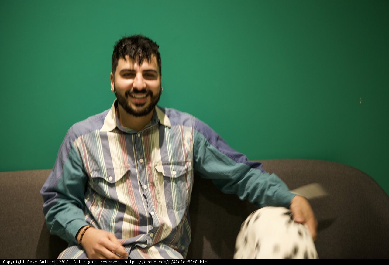 Happy Man and his Dalmatian on the Couch