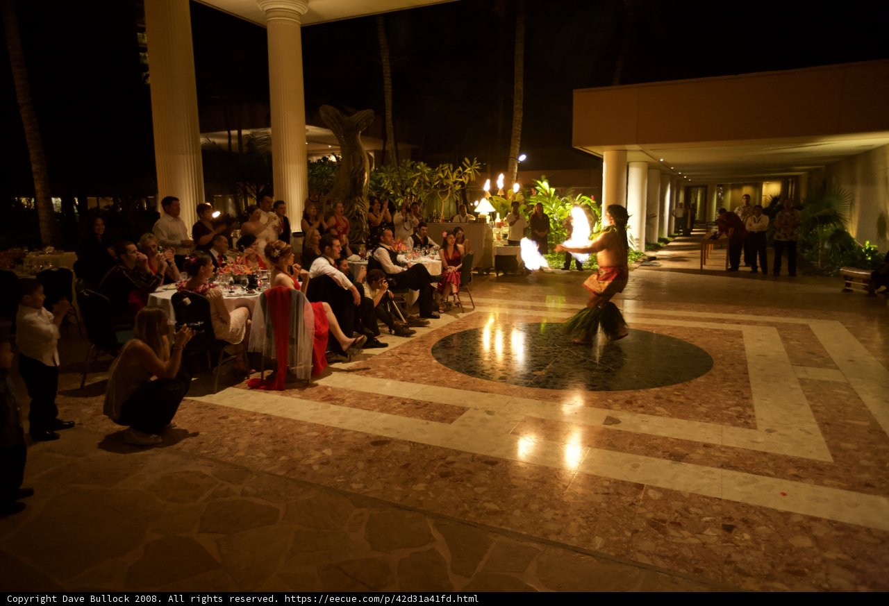 Fiery Performance at a Wedding Reception