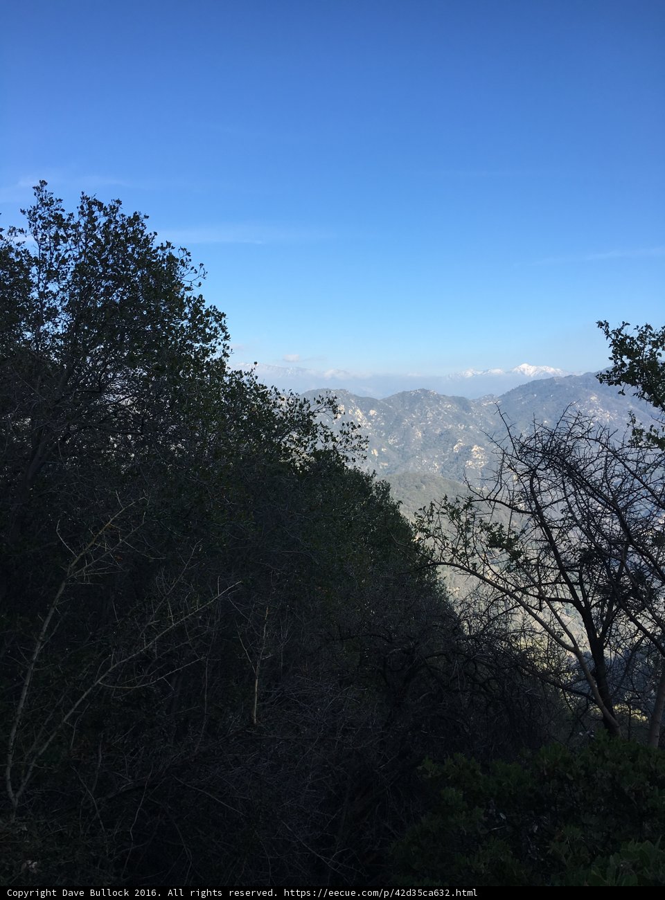 Summit View