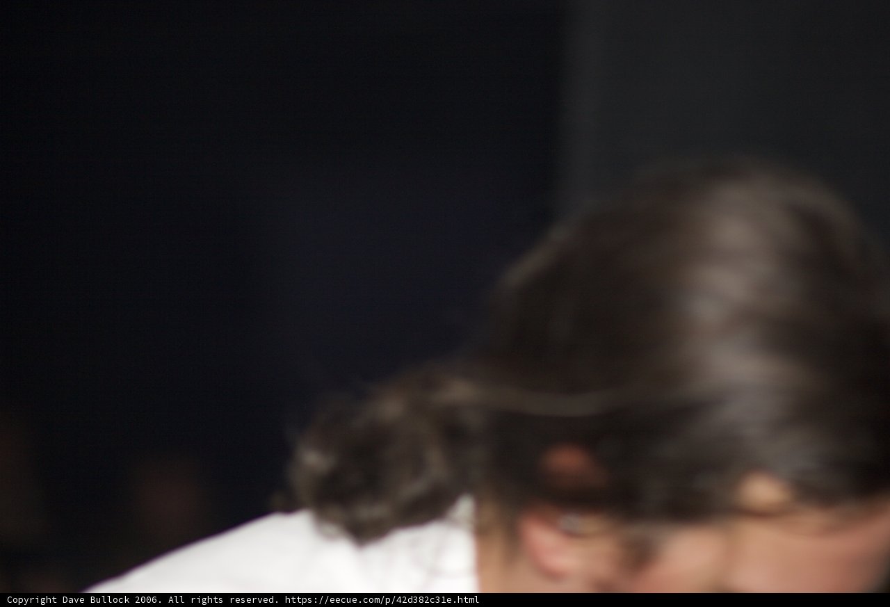 The Long Haired Musician