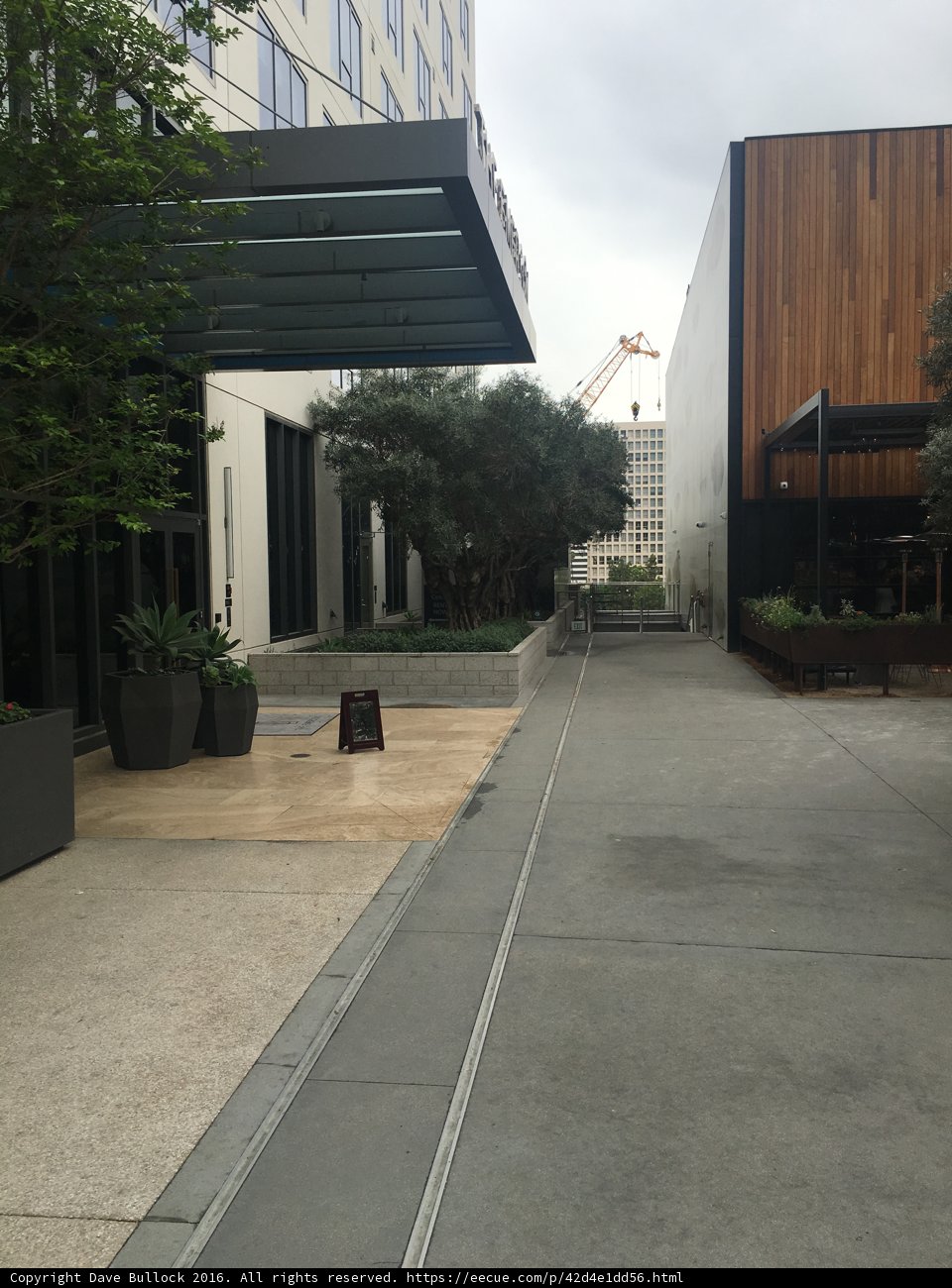 Cityscape Oasis