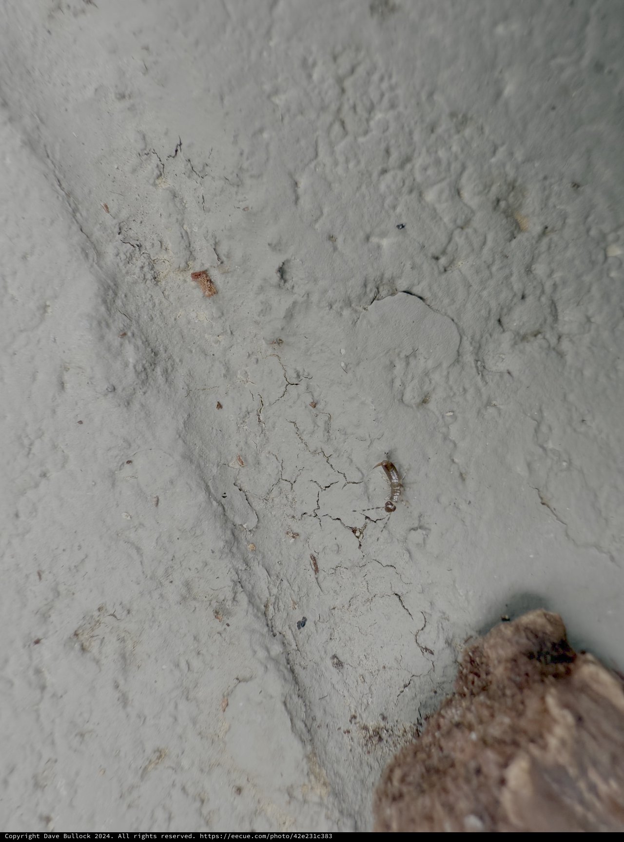 Cracked White Wall Corner with Peeling Paint