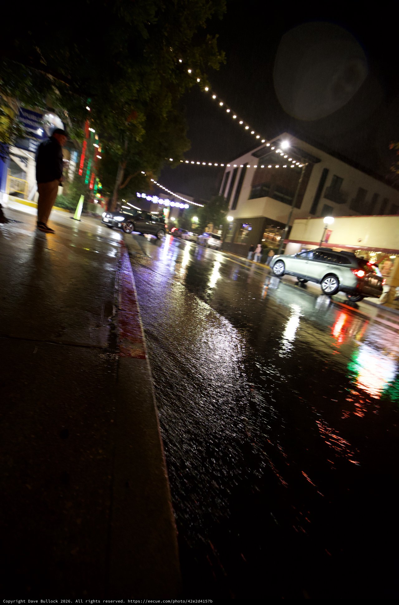 Rainy Night Street Scene with String Lights