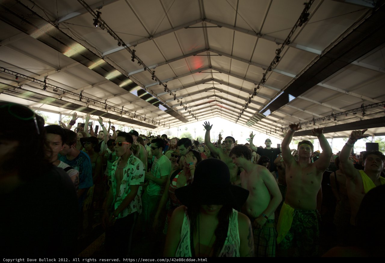 Hands Up in the Crowd