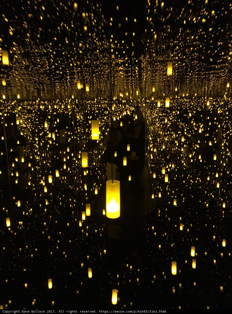 Glowing Invertebrate Haven