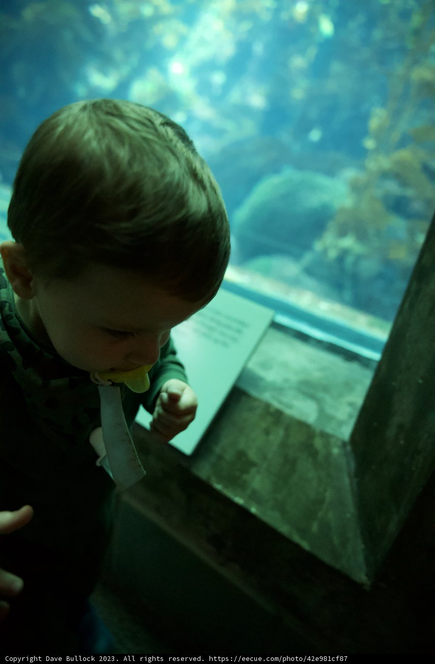 A Young Explorer Submerged in Wonder