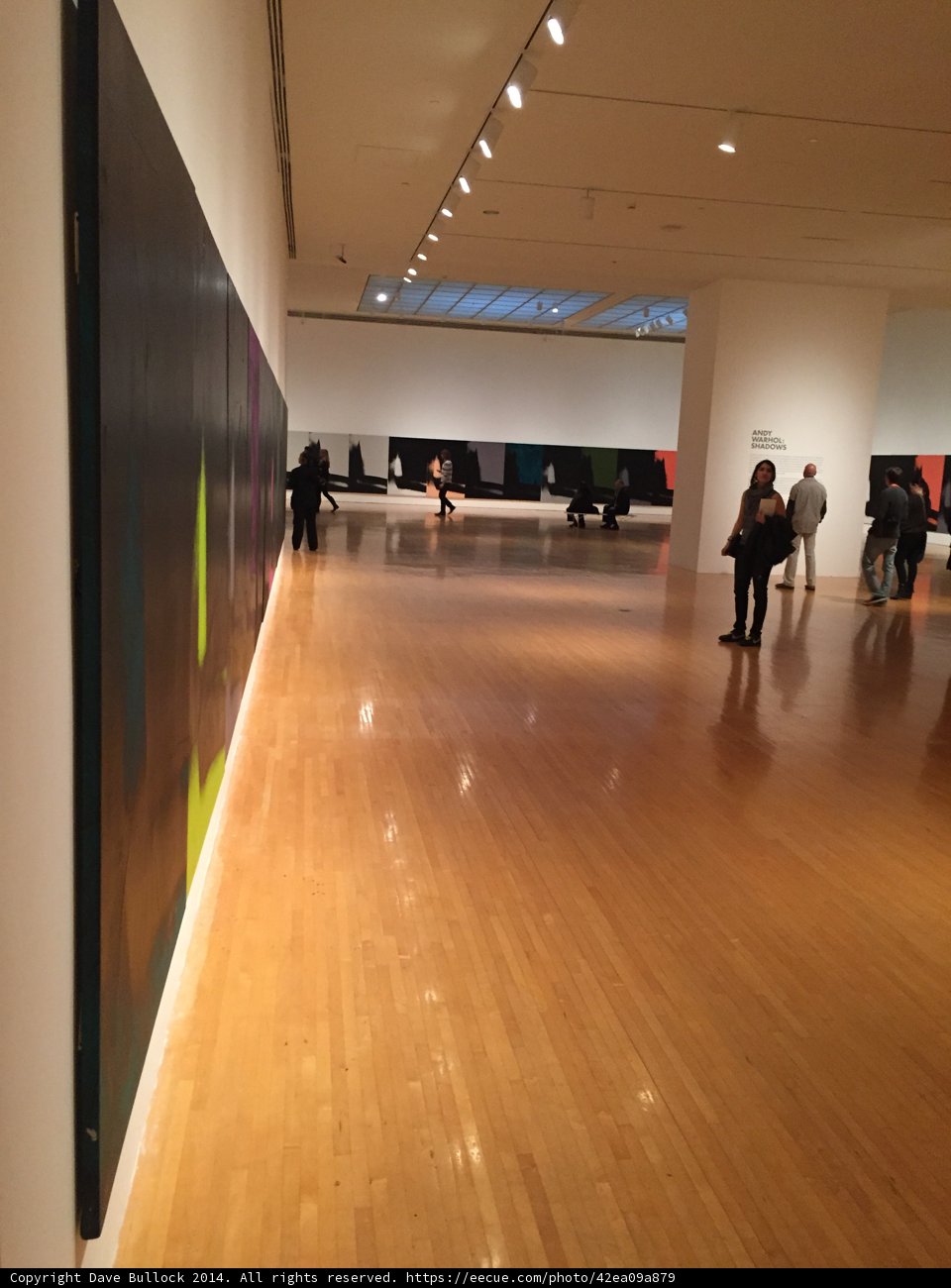 Wooden Wonder in Art Gallery