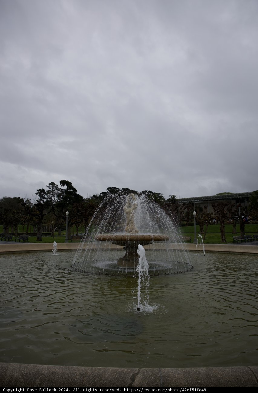 Serene Fountain Scene at California Academy of Sciences