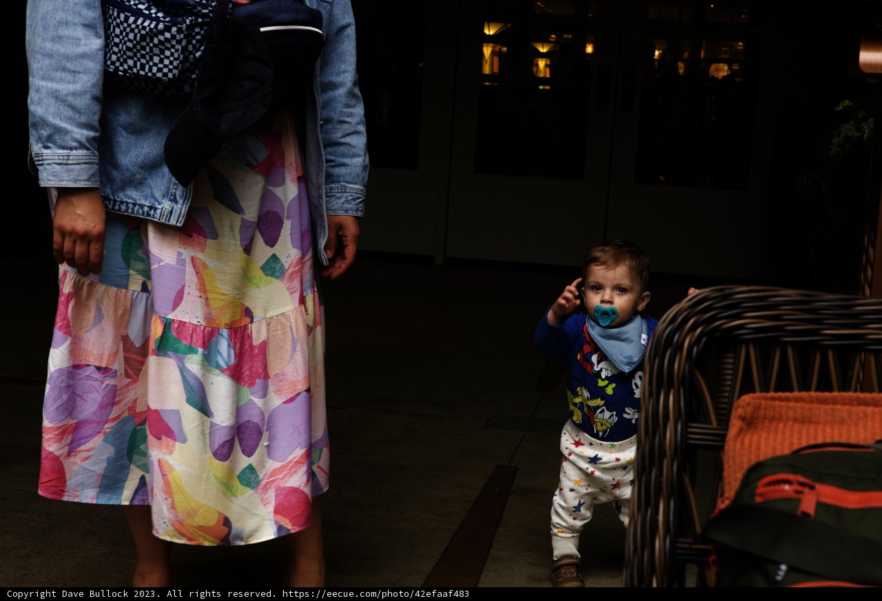 Strolling Through Disneyland Magic