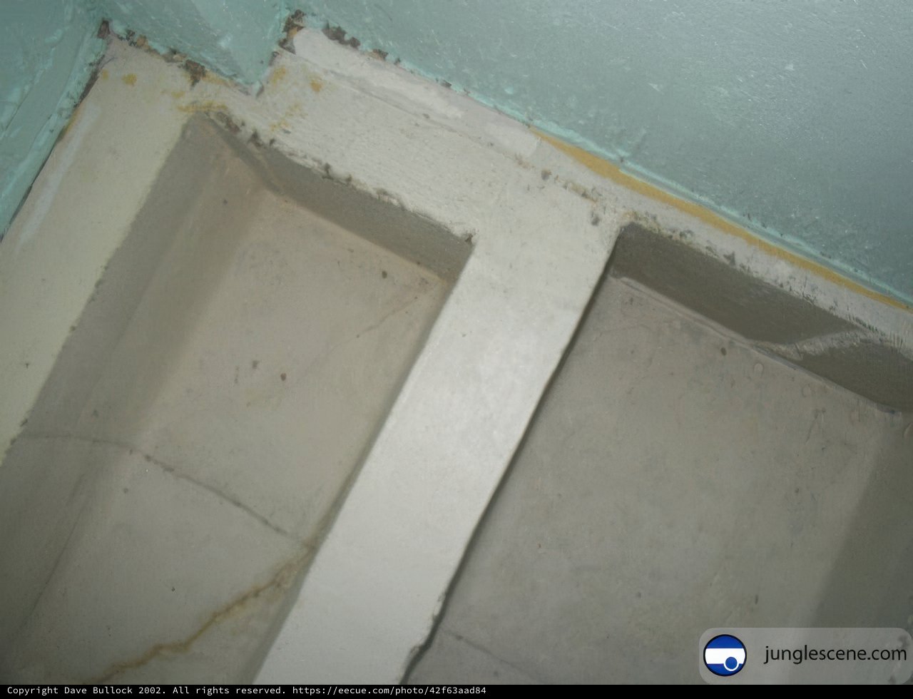 The Moldy Bathroom