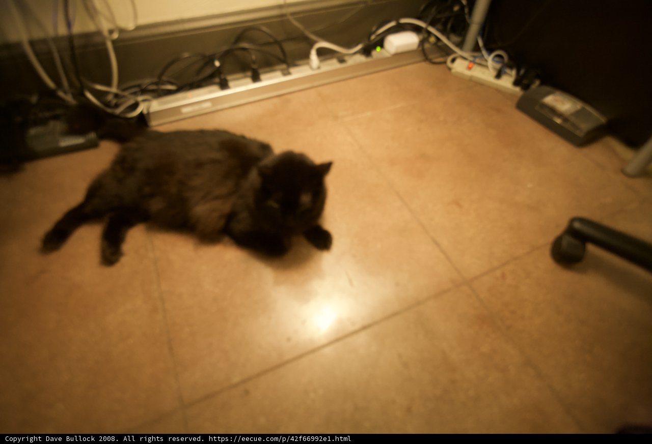 Midnight Nap