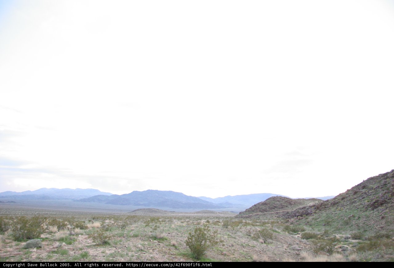 Desolate Beauty