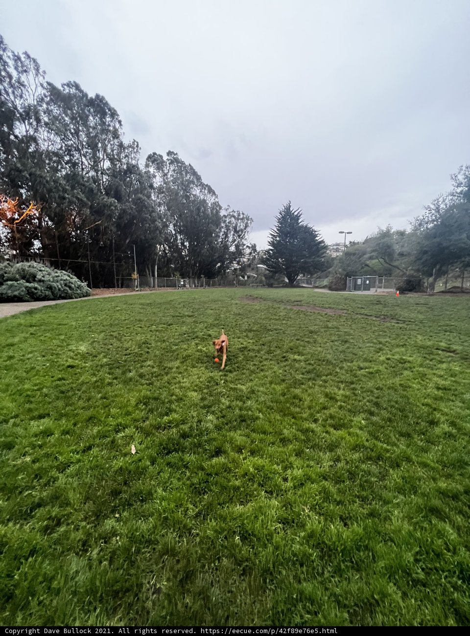 Running Free in the Grasslands