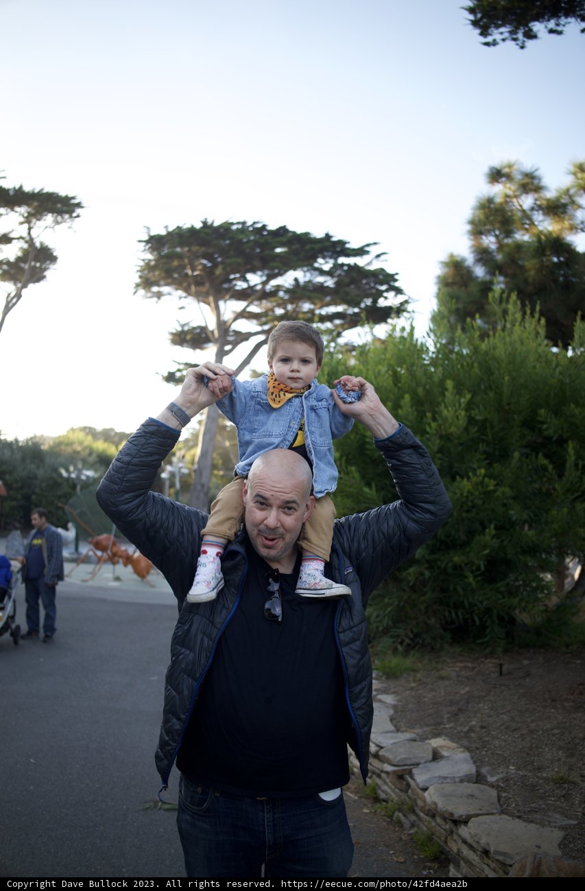 Joy in the Sky: A Special Day at the SF Zoo